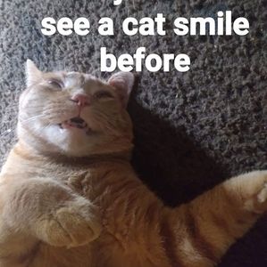 Meet your Posher, Glenn